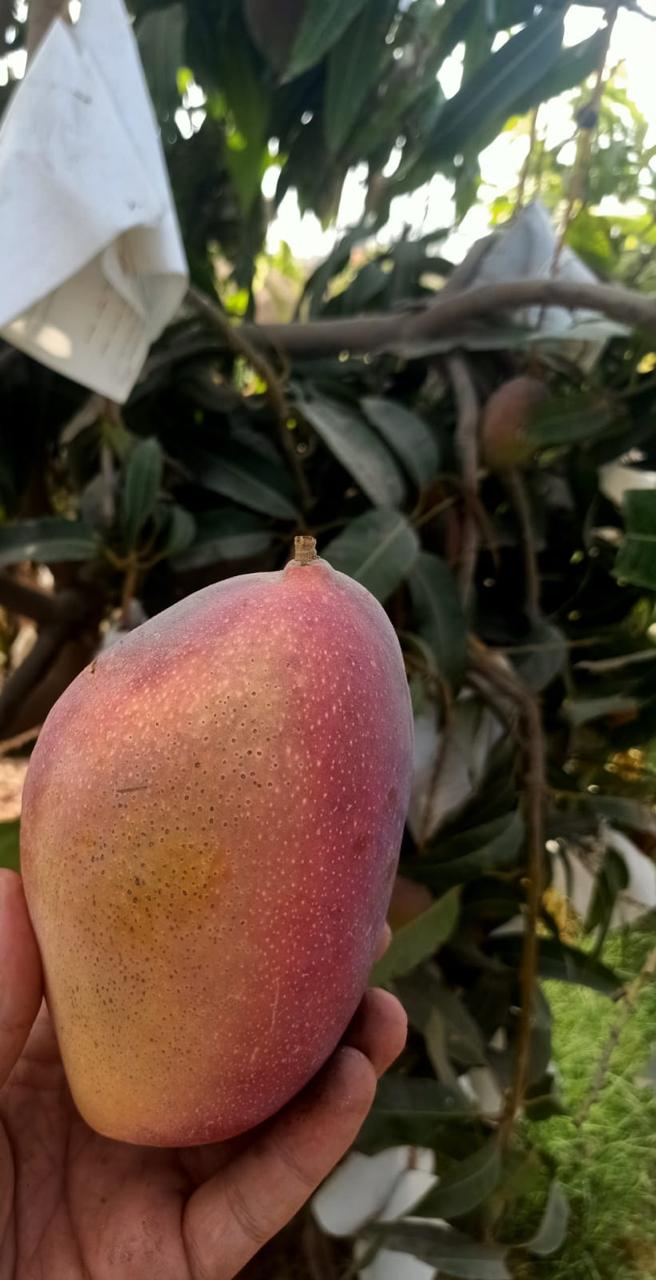 From Farm