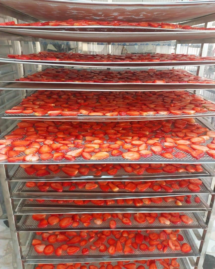 From Farm